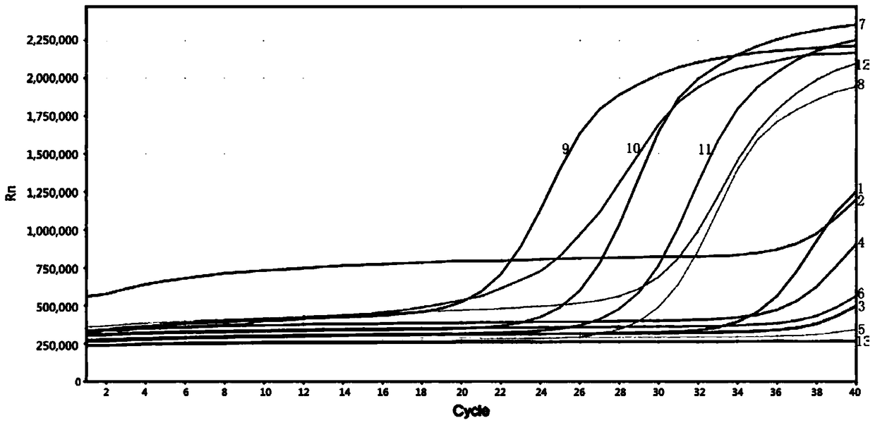 Fluorescent quantitative PCR method and primer pair for detection of fish parvalbumin