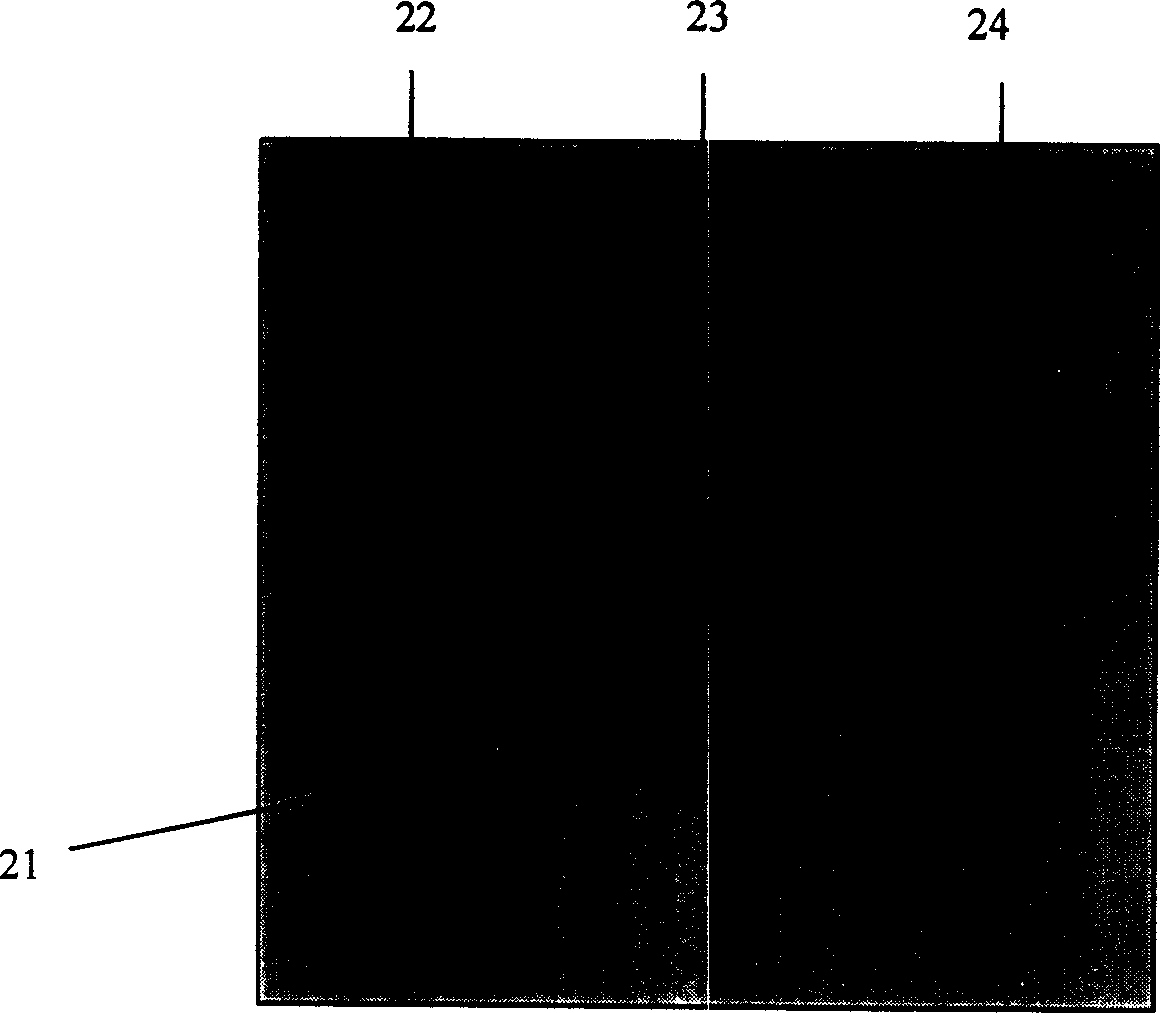 Two dimension complex interrelative biological tissue displacement evaluating method