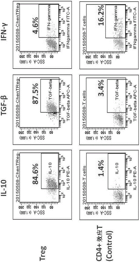 Optimized method for inducing amplification of regulatory T cells from naive T cells