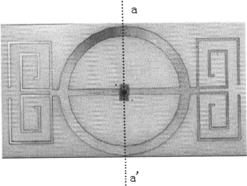 Radio frequency identification electronic label antenna complex impedance test device and method