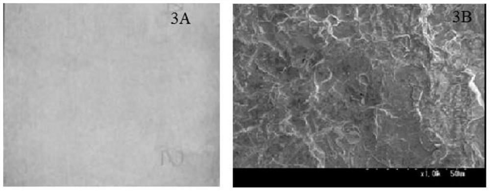 Corrosion inhibitor for preventing surface of hot-rolled pickled steel from blackening and preparation method of corrosion inhibitor