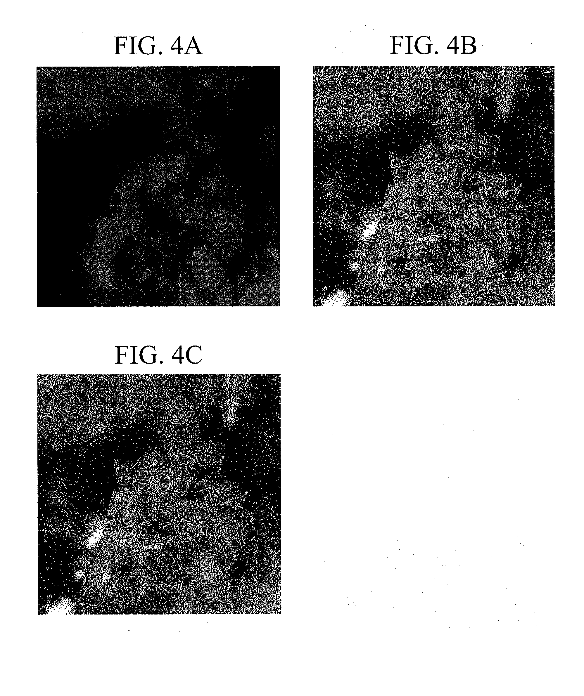 Catalyst for hydrocarbon reforming, method of manufacturing the same, and method of manufacturing synthesis gas