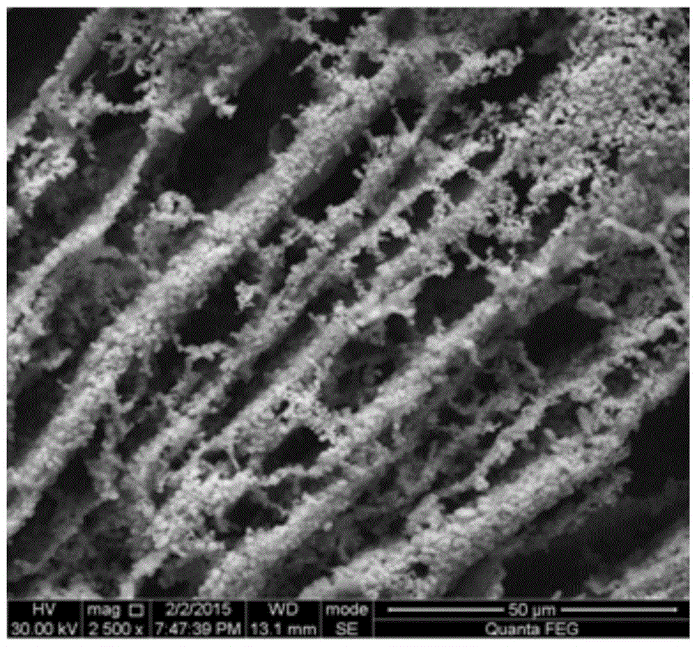 Preparation method of microwave dielectric ceramic/resin bicontinuous composite material for pcb substrate