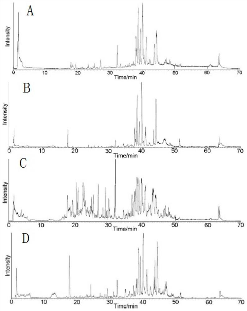 Traditional Chinese medicine composition for treating type 2 diabetes mellitus insulin resistance