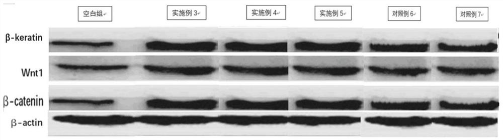 A kind of medical dressing of stem cell extract and preparation method thereof