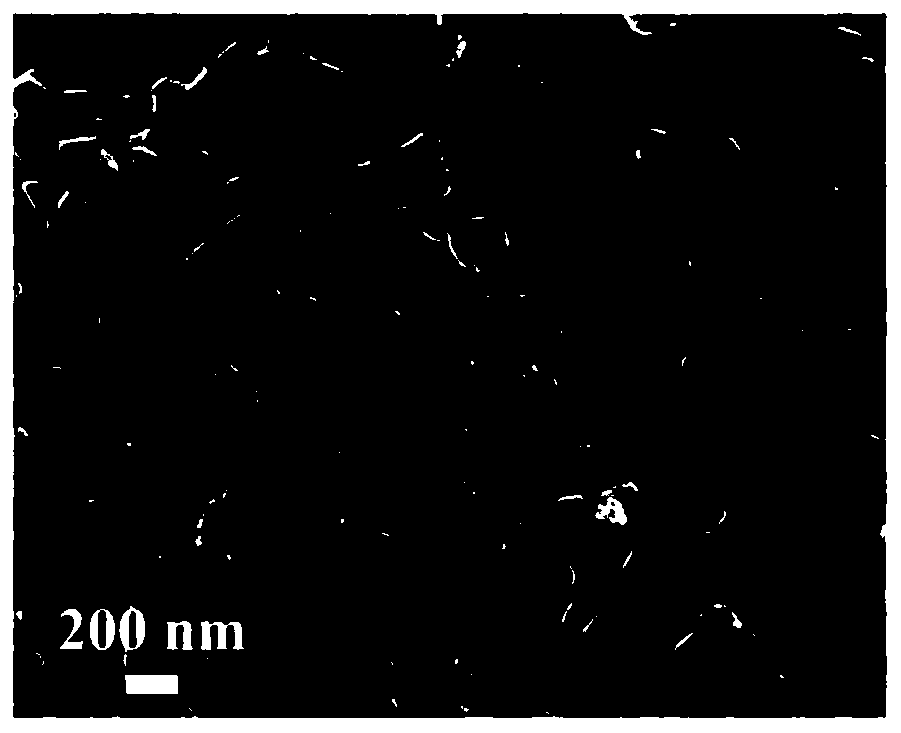 Metal-free carbon-based electrocatalyst, preparation method and applications thereof