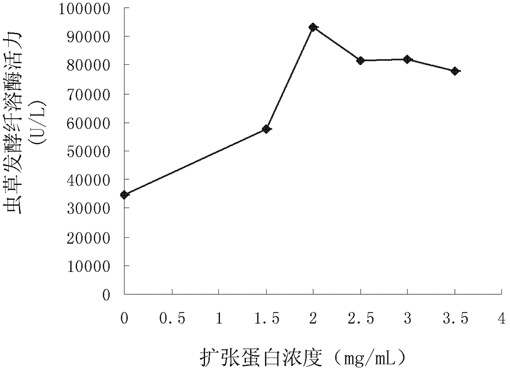 Method for fermenting and producing plasmin by use of cordyceps militaris liquid