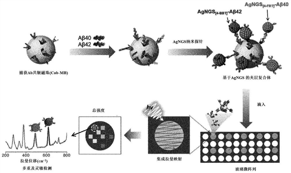 Method for diagnosing alzheimer's disease using silver nanogap shell