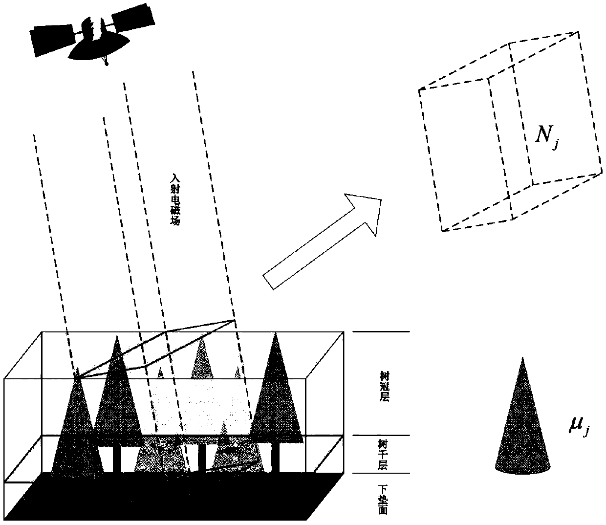 Simulation method of vertical backscattering coefficient of non-uniform vegetation canopy in high orbit SAR