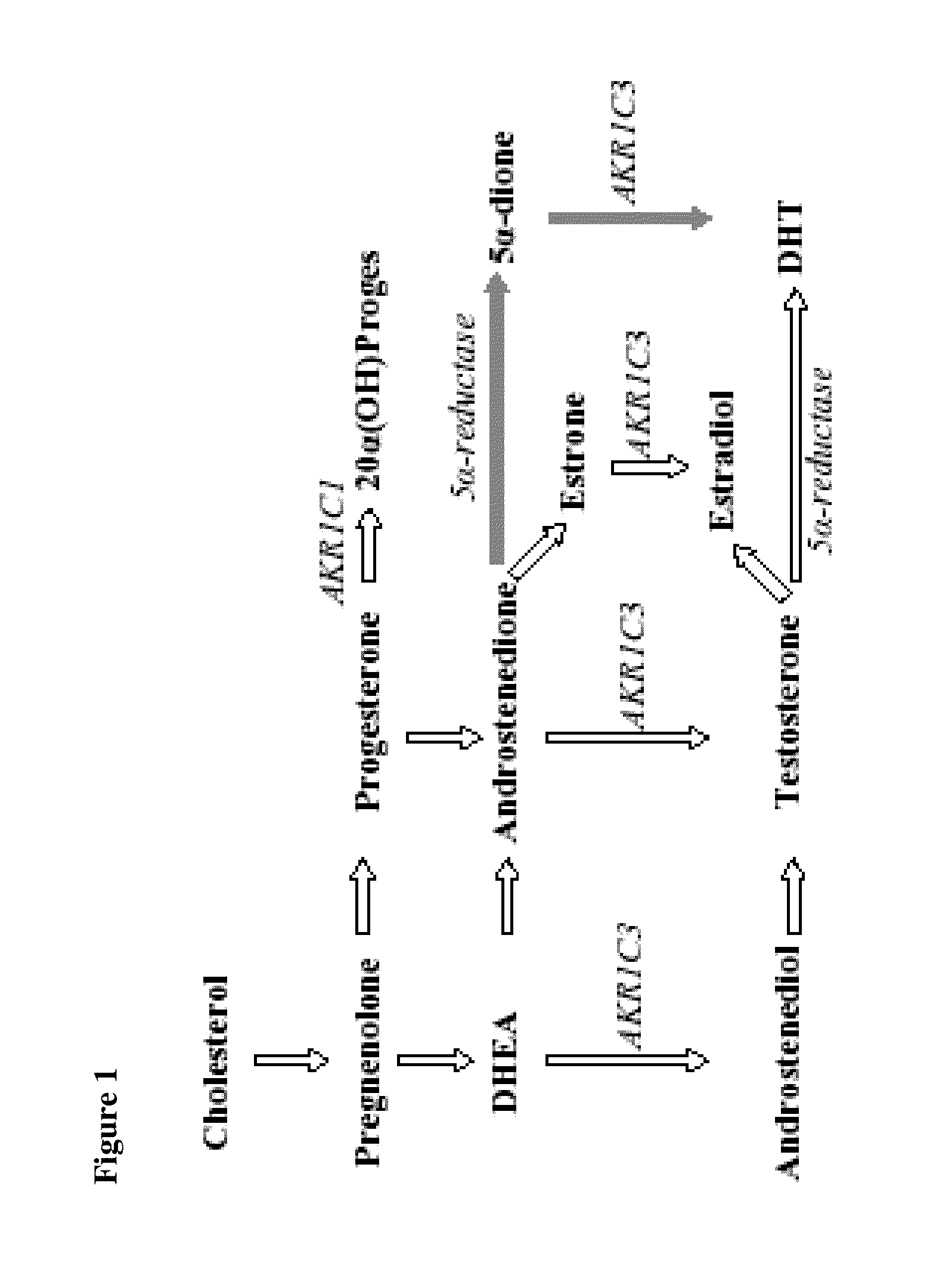 Aldo-keto reductase subfamily 1c3 (AKR1c3) inhibitors