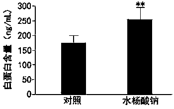 Application of sodium salicylate in the preparation of preparations for promoting liver regeneration