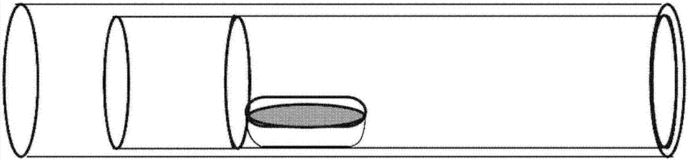 Method of growing Ga2O3 single crystals by way of closed tube chemical vapor transport