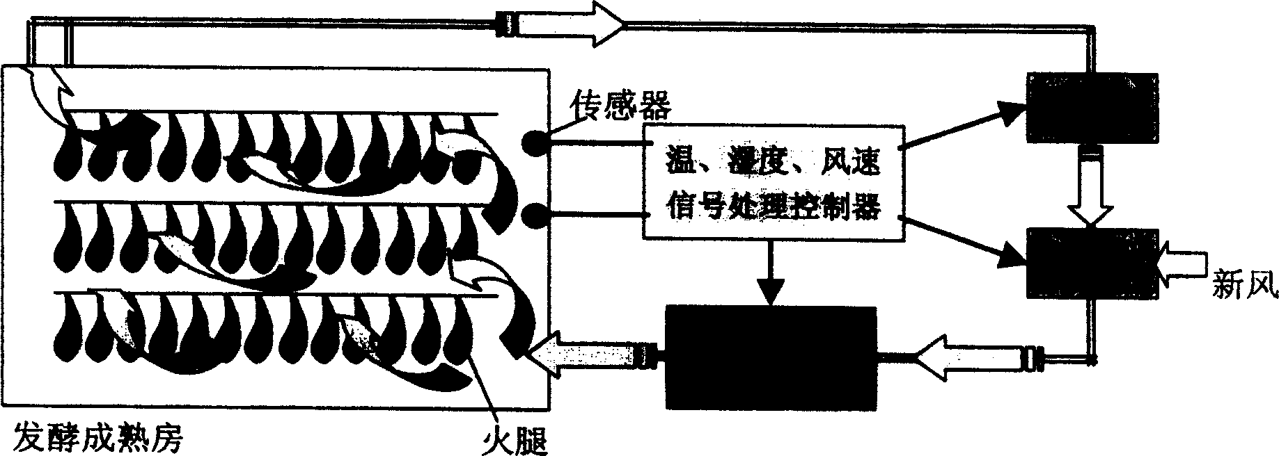 Ferment and mature process of dried pickled ham