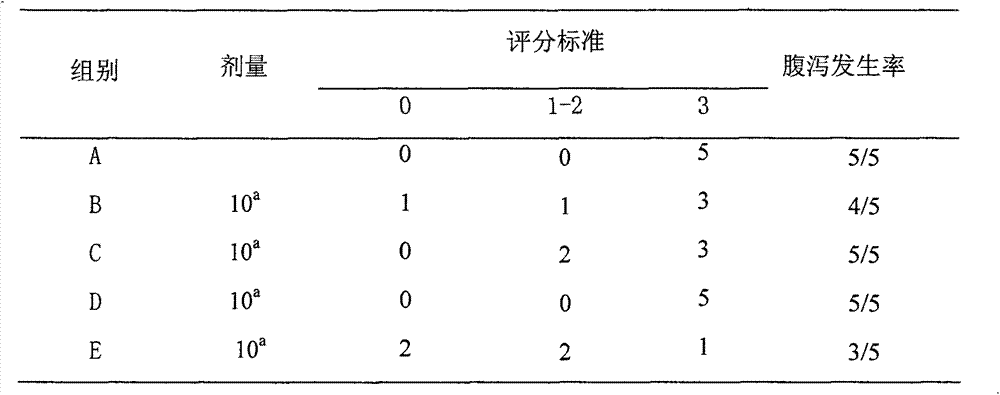 Traditional Chinese medicine extract and preparation method thereof