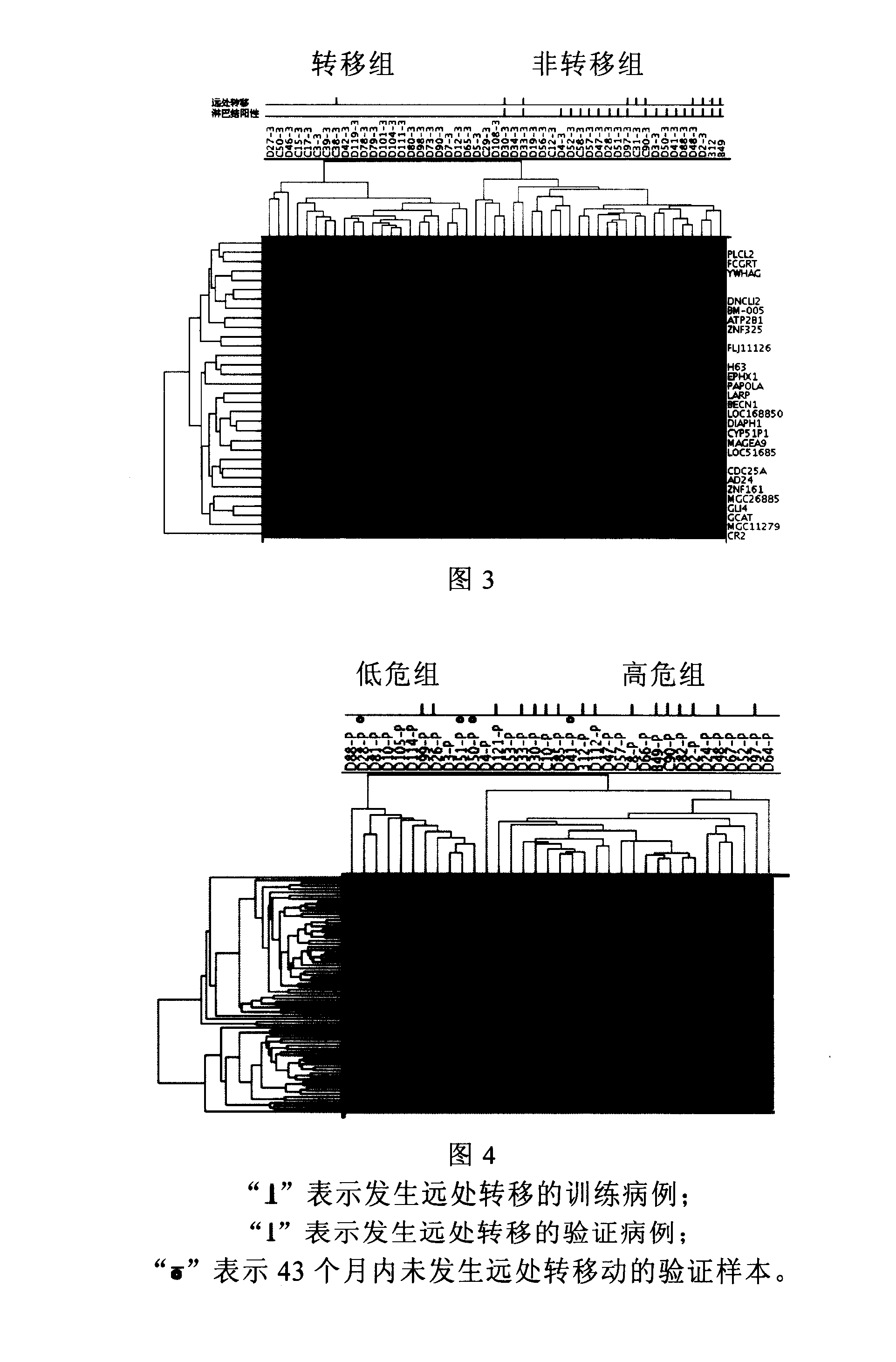 Mammary cancer diversion and prognosis molecule parting gene group, gene chip producing and using method
