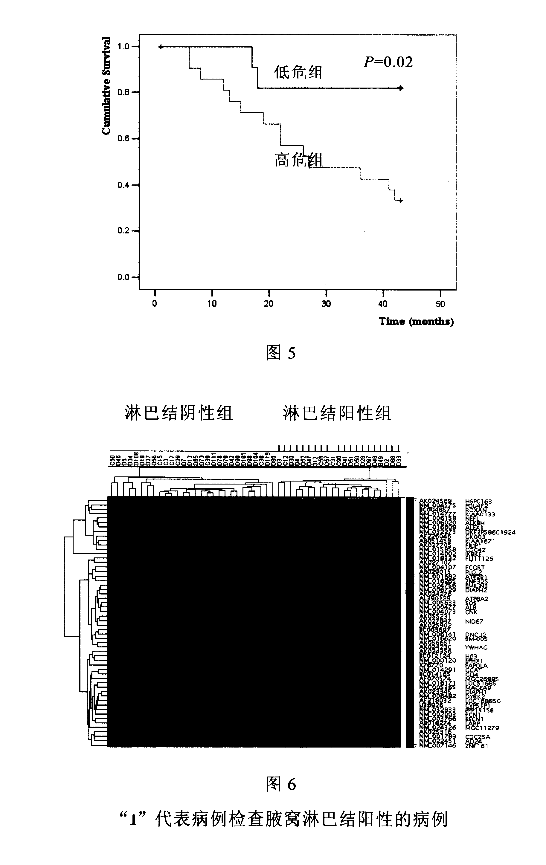 Mammary cancer diversion and prognosis molecule parting gene group, gene chip producing and using method