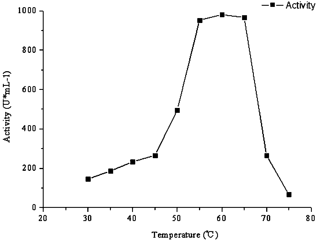 Prokaryotic expression method of streptomyces murinus AMP (Adenylate) deaminase gene and application of expression product of gene