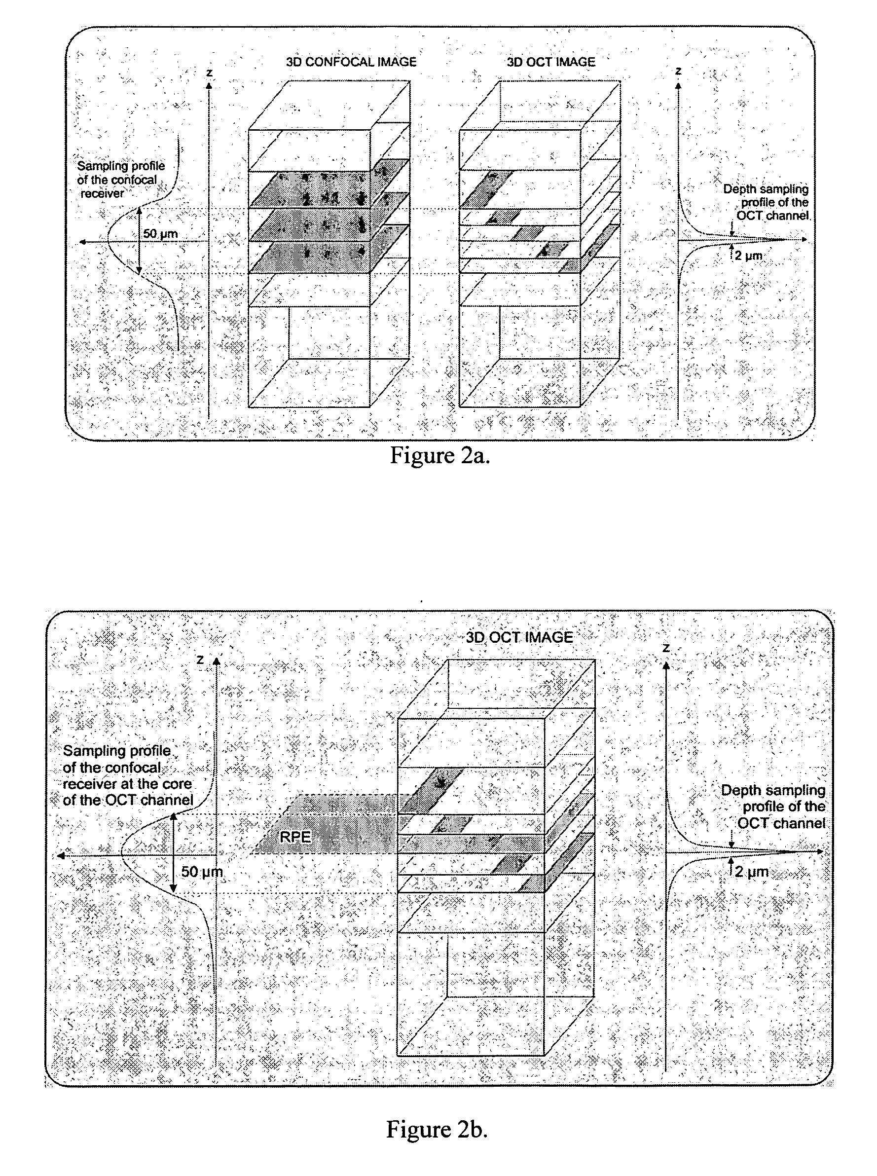 Optical mapping apparatus