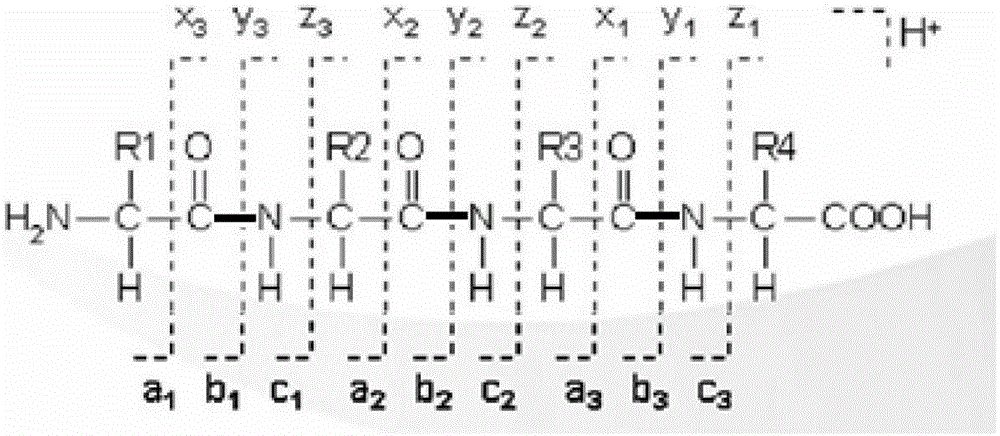 A de novo peptide sequencing method and system based on hcd and etd mass spectrometry