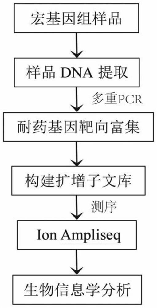 A primer set and application for high-throughput amplicon sequencing of drug-resistant genes of Gram-positive bacteria