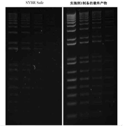 Novel blue-light electrophoresis nucleic acid dye, preparation method and use thereof