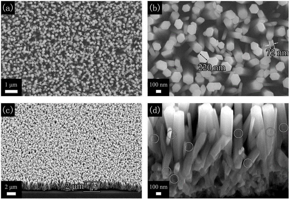 Preparation method of porous zinc oxide nanowire arrays