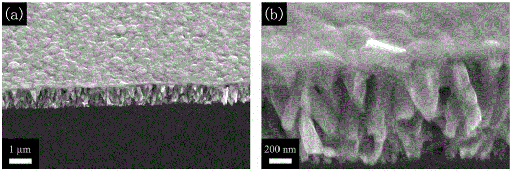 Preparation method of porous zinc oxide nanowire arrays