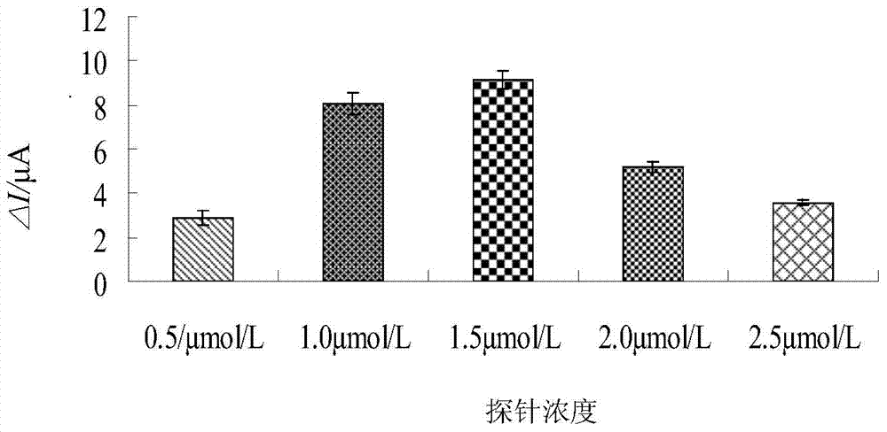 NDM-1 locked nucleic acid probe modified electrode as well as preparation method and application thereof