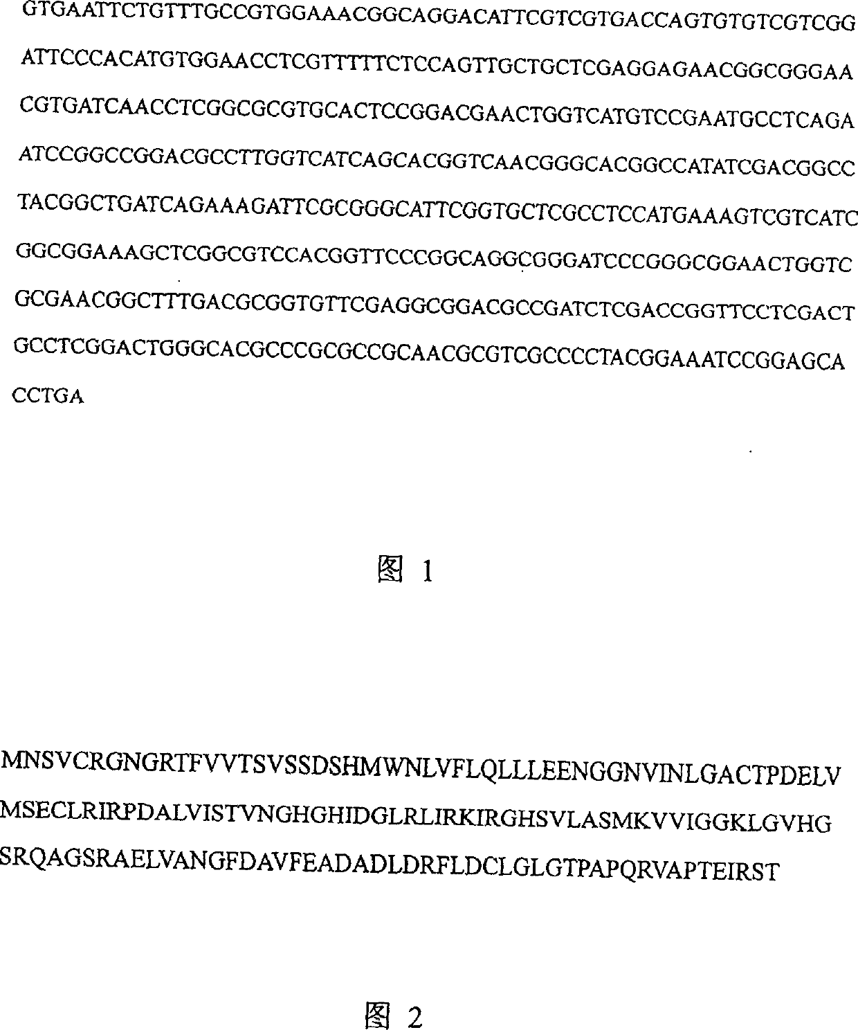 High-yield engineering bacterium of nicomycin x component and its application