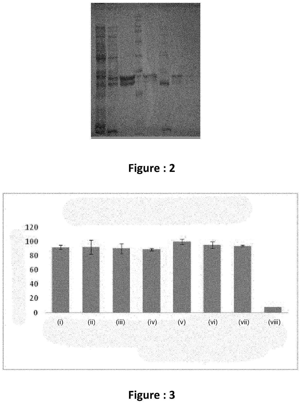 Recombinant TGF a for wound healing purposes, and the process thereof