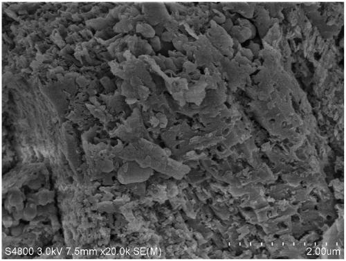 A kind of preparation method and application of zn/g-c3n4 ozone catalyst