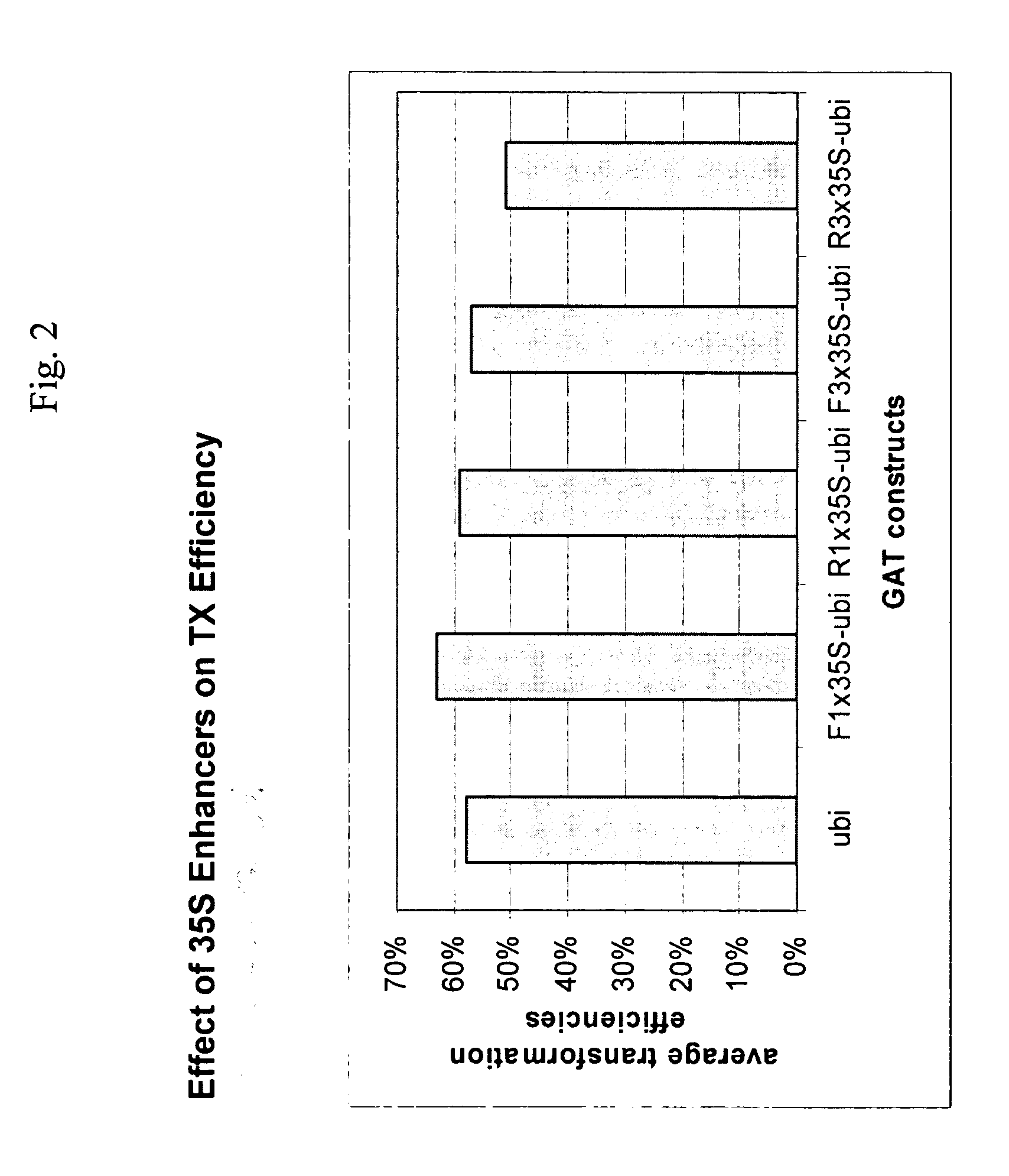 Compositions providing tolerance to multiple herbicides and methods of use thereof