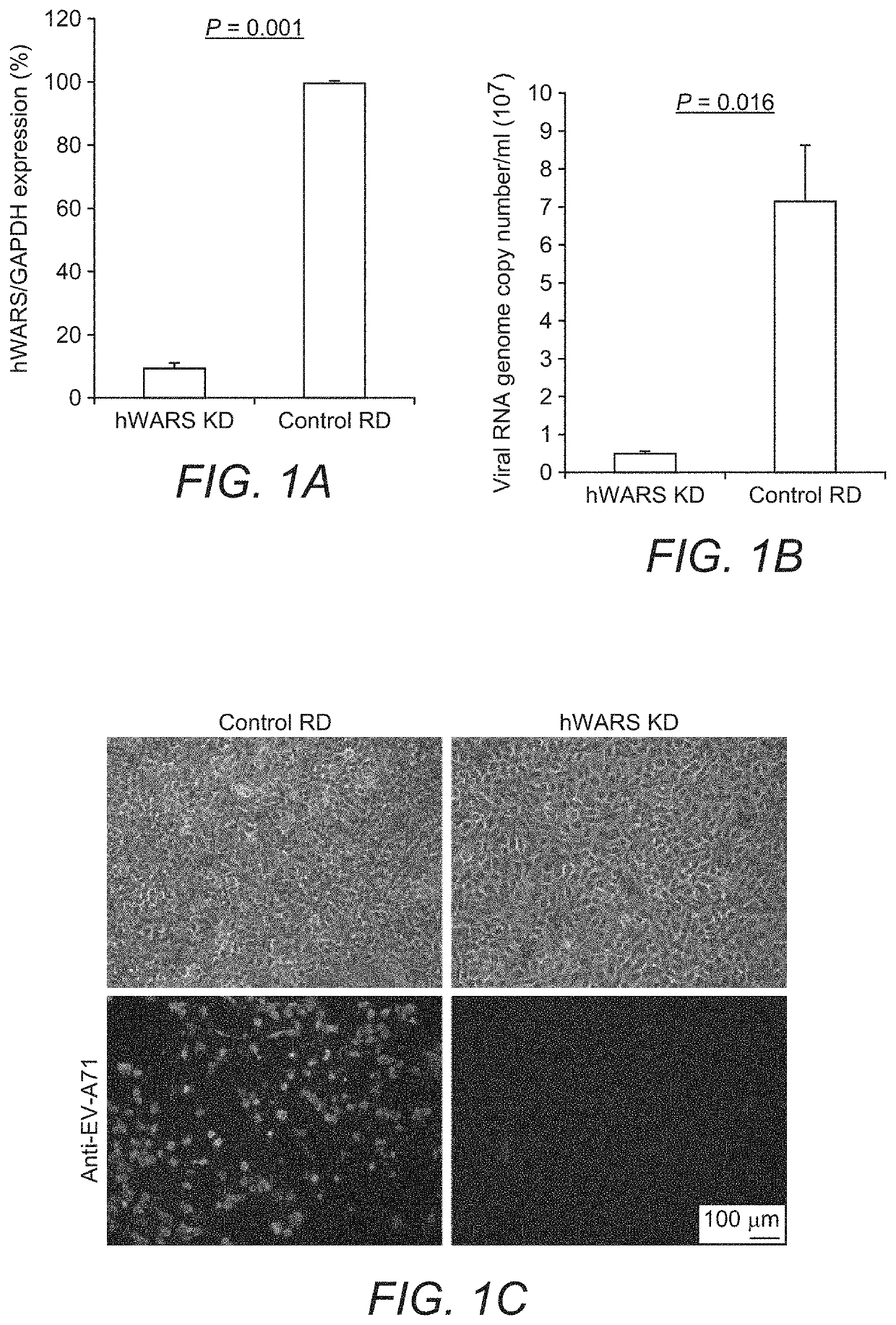 Compositions and methods for treatment of enterovirus infection