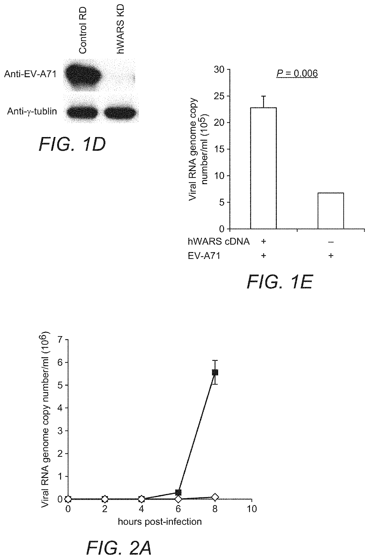 Compositions and methods for treatment of enterovirus infection