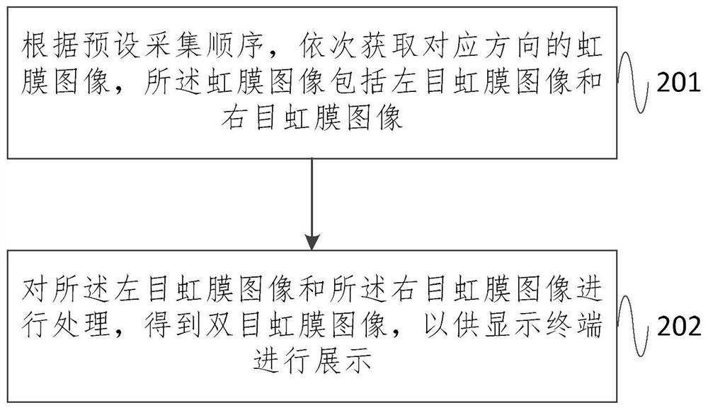 A binocular iris image acquisition device and method