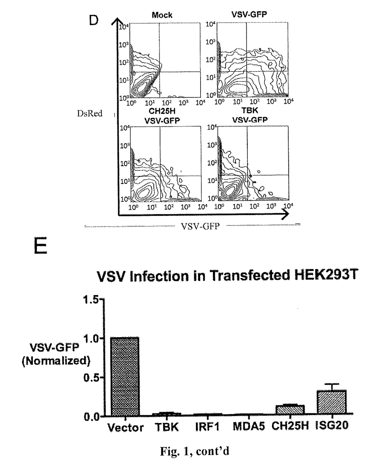 Broad antiviral therapy with membrane modifying oxysterols