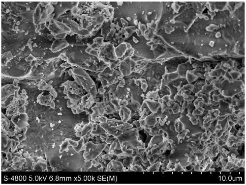 Composite-type nano attapulgite ceramsite ozone catalyst and preparation method and application thereof