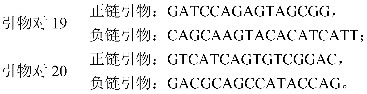 Phenylketonuria monogenic disease mutation detection primer set, kit and method