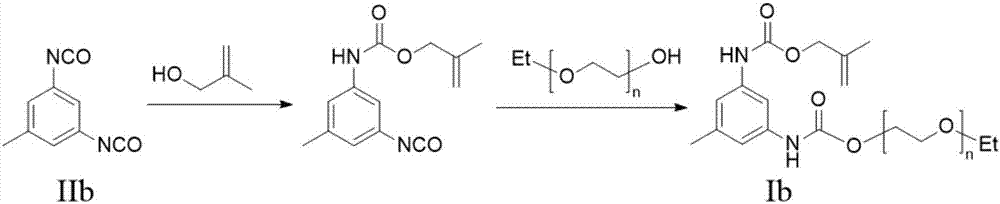 Polyester monomer and preparation method thereof as well as polycarboxylate water reducing agent