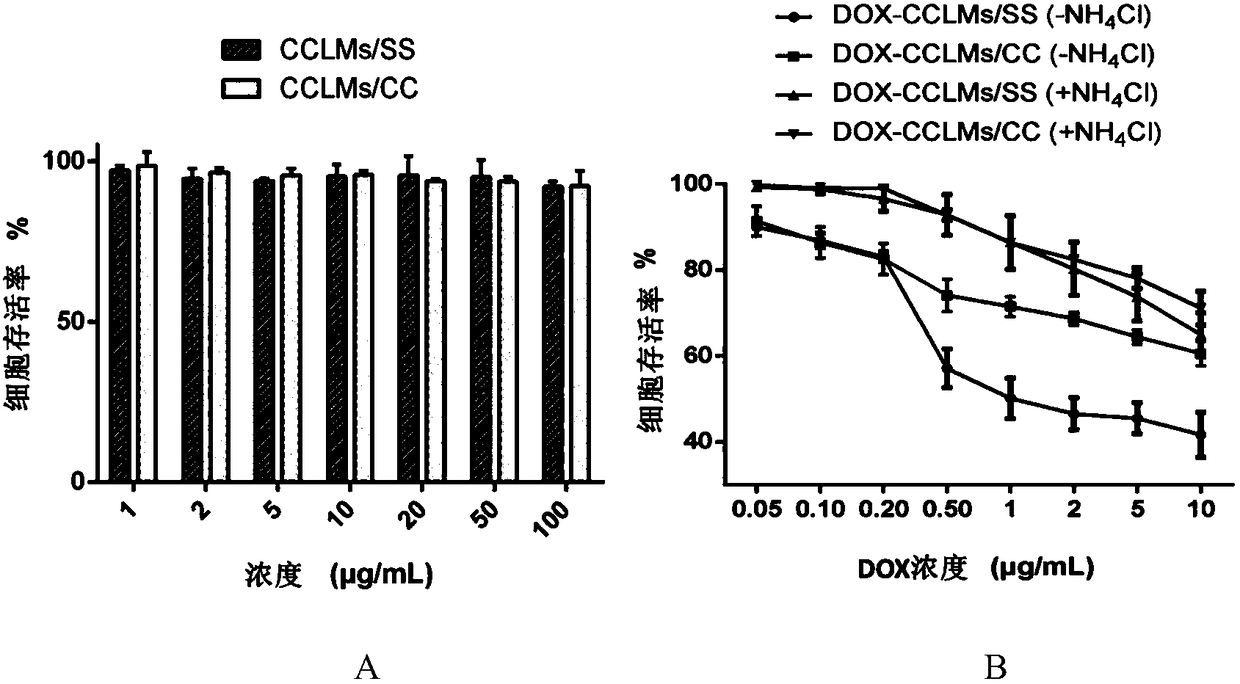 Amphiphilic graft copolymer with catechol ligand as well as synthesis method and application thereof