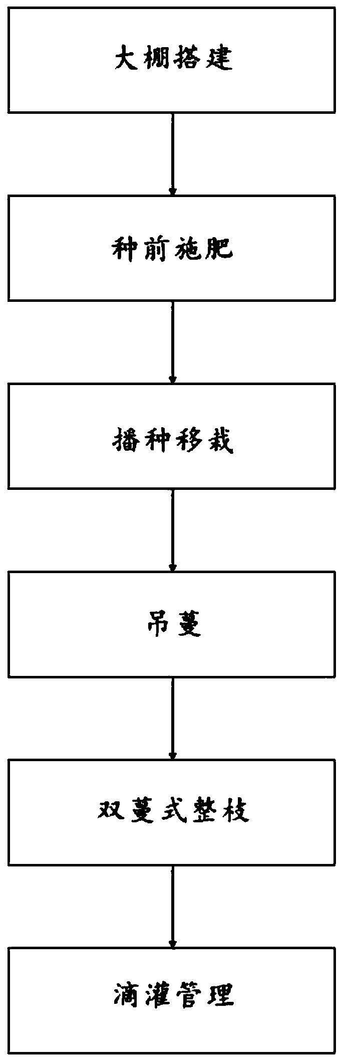 Three-dimensional frame type cultivation method for watermelons