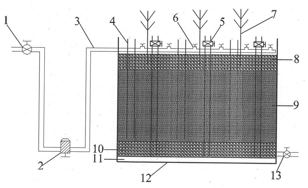 Vertical flow artificial wetland aerobic denitrification system for intermittent operation