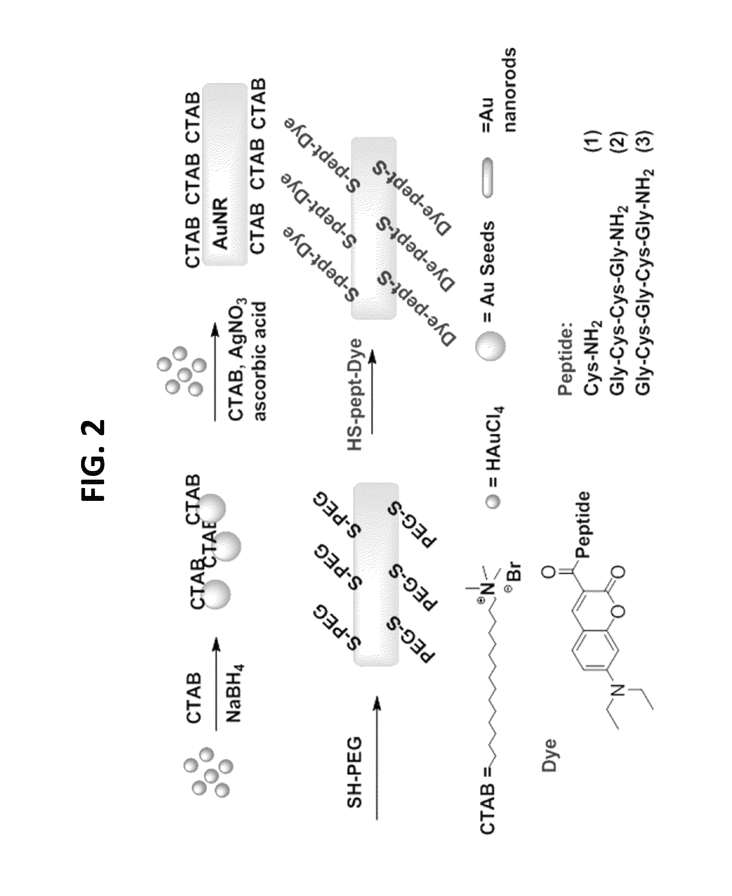 Nanothermometer, methods and uses therefor