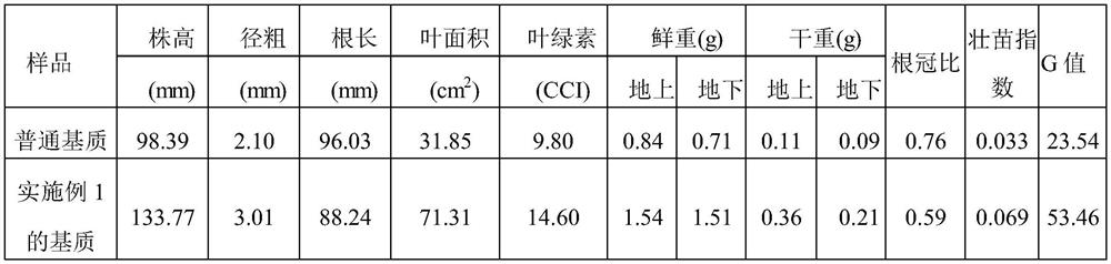 A kind of preparation method of seedling matrix square and application of the seedling matrix square