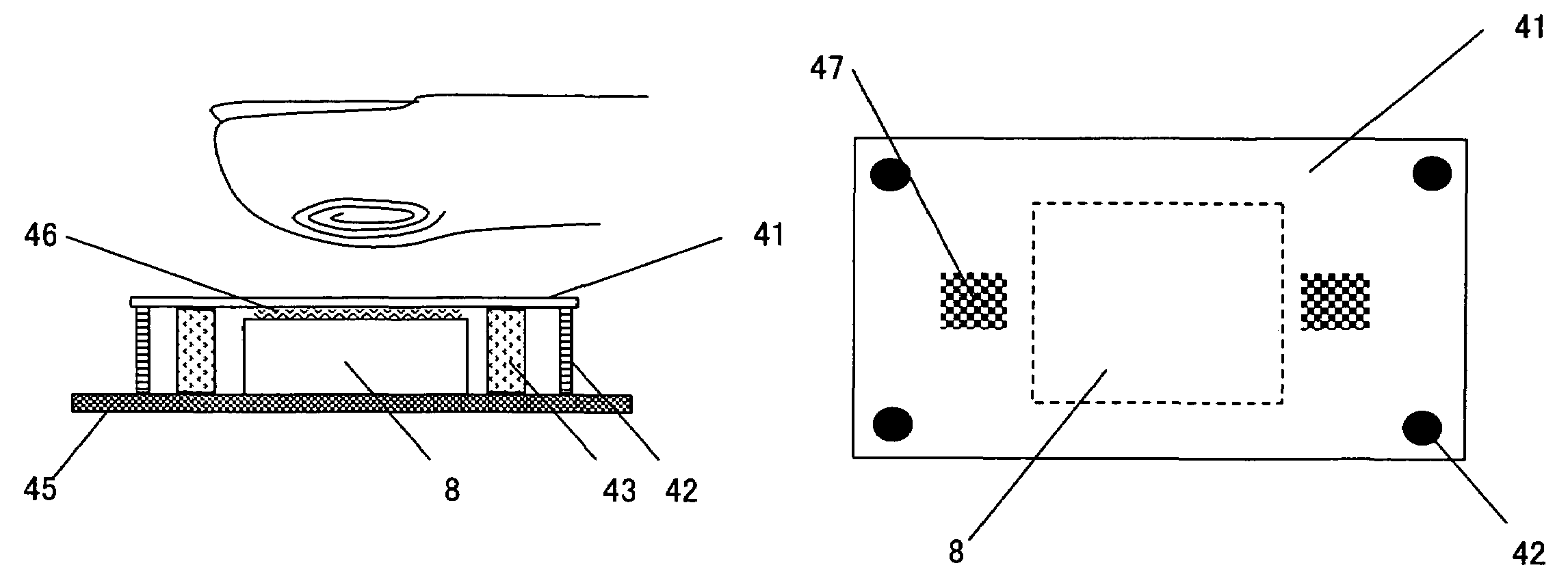 Detection of fingerprint distortion by deformation of elastic film or displacement of transparent board