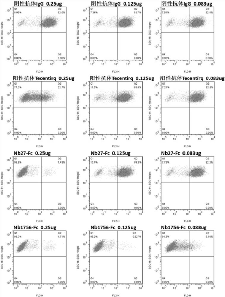 Blocking pd-l1 camel-derived single-domain antibody and use thereof