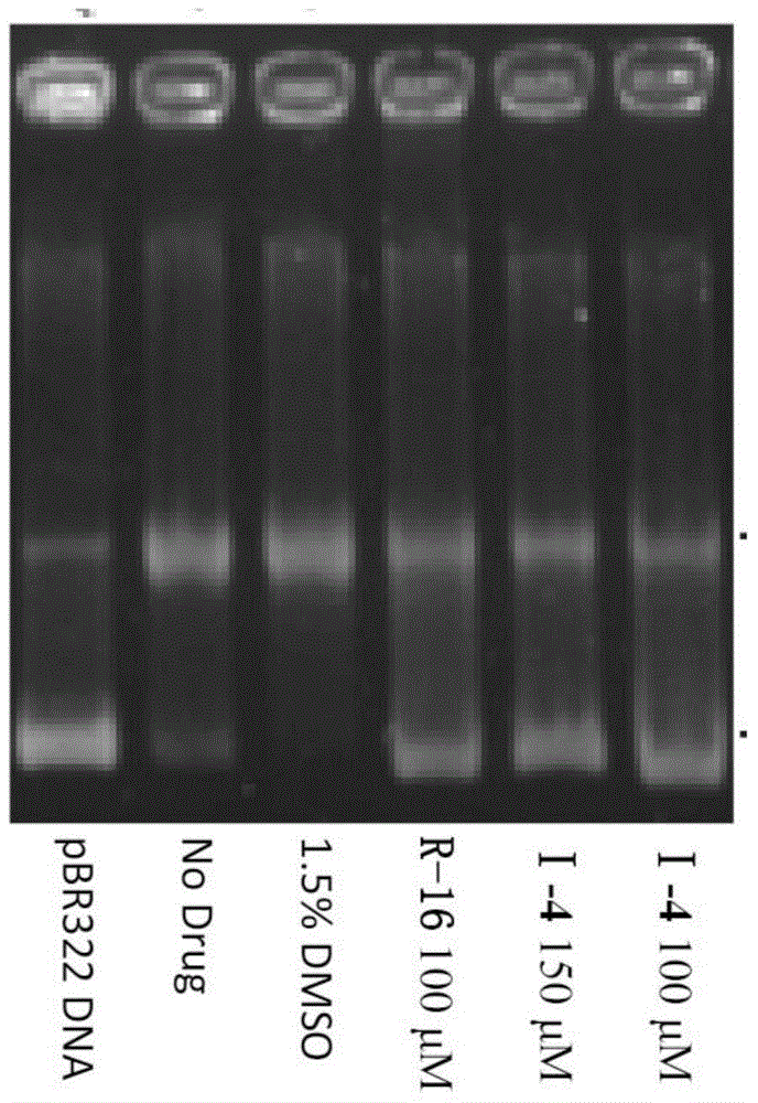 Alpha-carboline compounds, preparation method thereof and purpose thereof