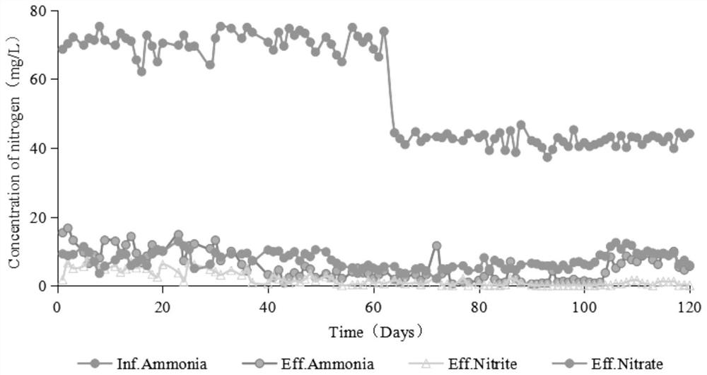 A method for biological denitrification of domestic sewage and a method for starting the system