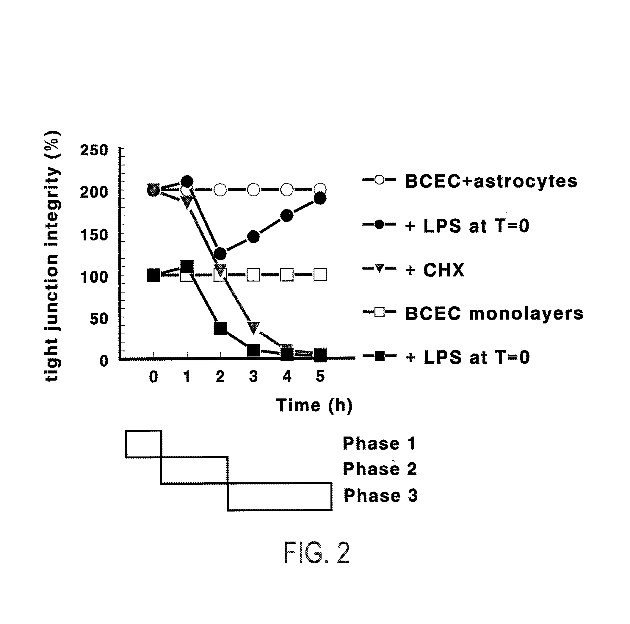 Methods and compositions for targeting agents into and across the blood-barrier and other endothelial cell microvascular barriers