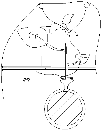 Feeding device for fruit tree pest mites and using method